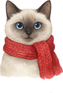 Siamese cat in a red knit scarf